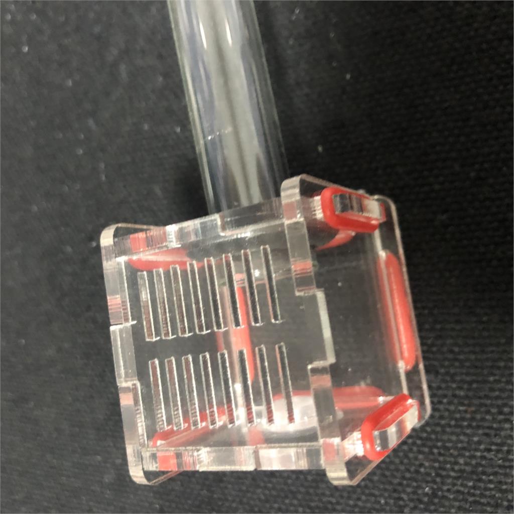 New Mini 1pcs Glass Tubes Ant  - Farming Zone recension och pris