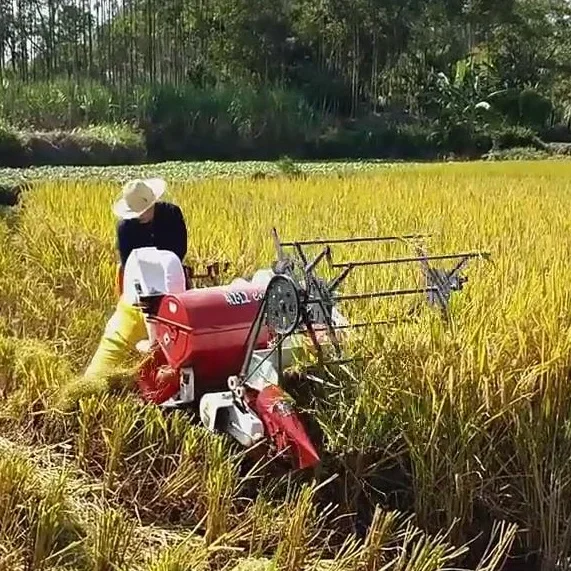 Automatic 13HP New Wheat Rice  - Combine Harvester Mini recension och pris