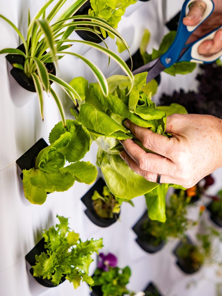 Hydroponic Growing System for  - Farming Zone recension och pris