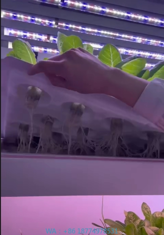 f Greenhouse Agricultural Equi - Agriculture Farming Systems recension och pris