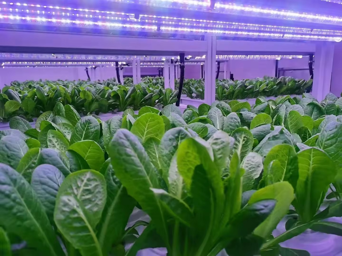 f Greenhouse Agricultural Equi - Agriculture Farming Systems recension och pris