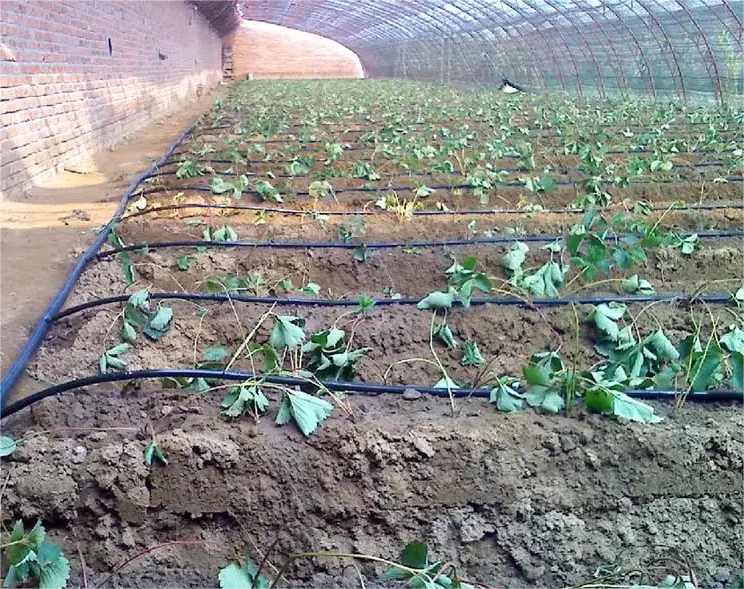 1HA Irrigation Kit Agricultura - Agriculture Farming Systems recension och pris