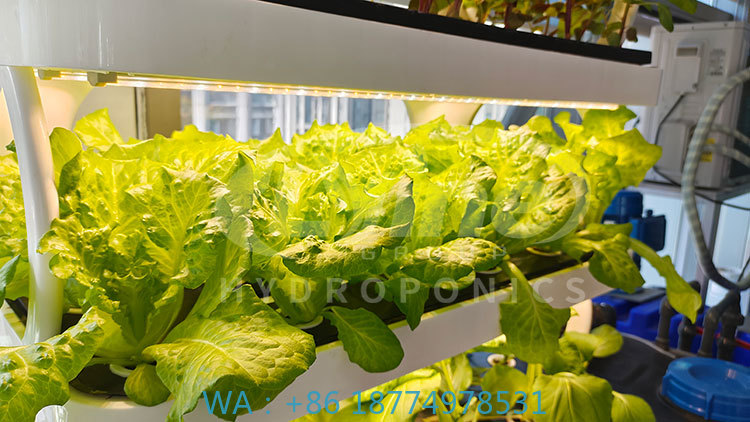 c Agriculture Machine to Growi - Agriculture Farming Systems recension och pris